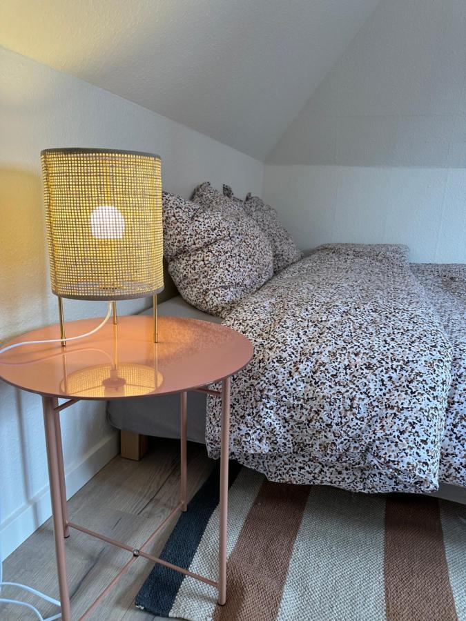 Loftlejlighed I Centrum Apartment Ringkobing